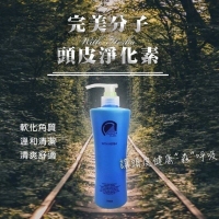 完美分子頭皮淨化750m