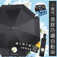 小雛菊黑膠防曬自動傘-隨機