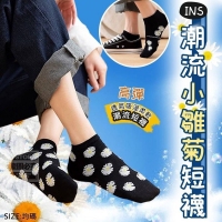 ins潮流小雛菊短襪(10雙/包 混裝