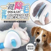 一鍵除毛寵物按摩刷梳 一個
