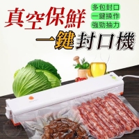 一鍵真空保鮮封口機 真空袋/一組100入