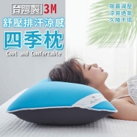 台灣製 3M舒壓排汗涼感四季枕Cool and Comfortable