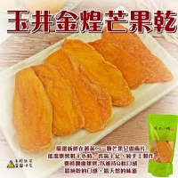 玉井金煌芒果乾300g輕巧包