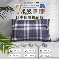7星級飯店款 德國抗菌羽絲絨專利枕