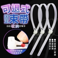 收納好幫手可退式固定束帶100入/一包/隨機