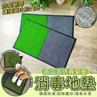 高品質仿真草皮消毒地墊/一片