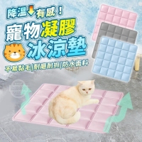 降溫有感！寵物凝膠冰涼墊231220